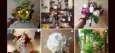 فروشگاه گل و گیاه آرامیس